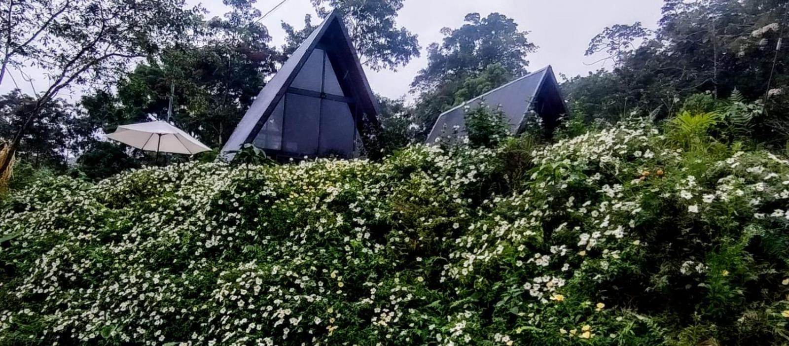 Yarumo Lodge, Rio Celeste Black Chalets Бійягуа Екстер'єр фото