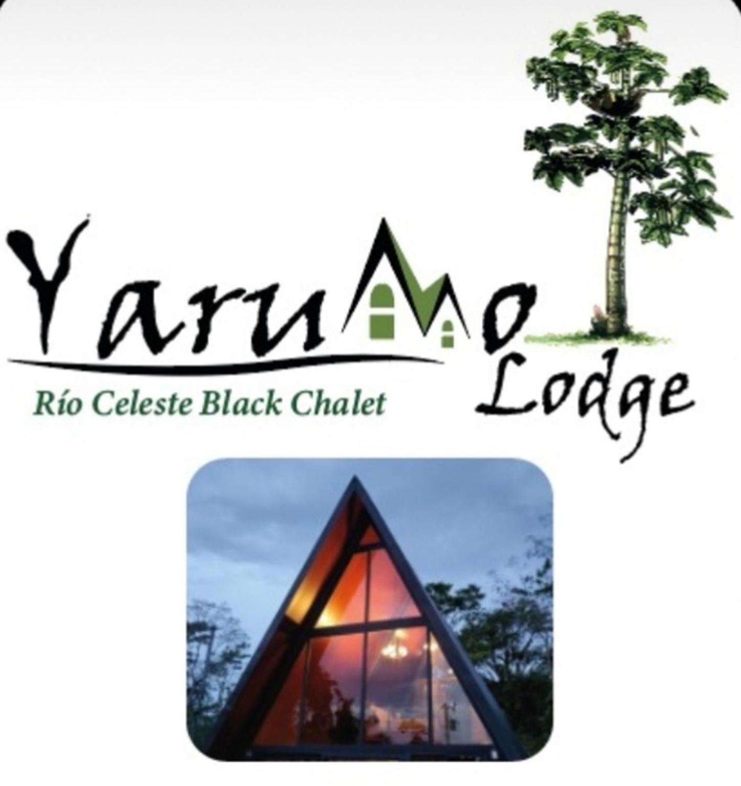 Yarumo Lodge, Rio Celeste Black Chalets Бійягуа Екстер'єр фото