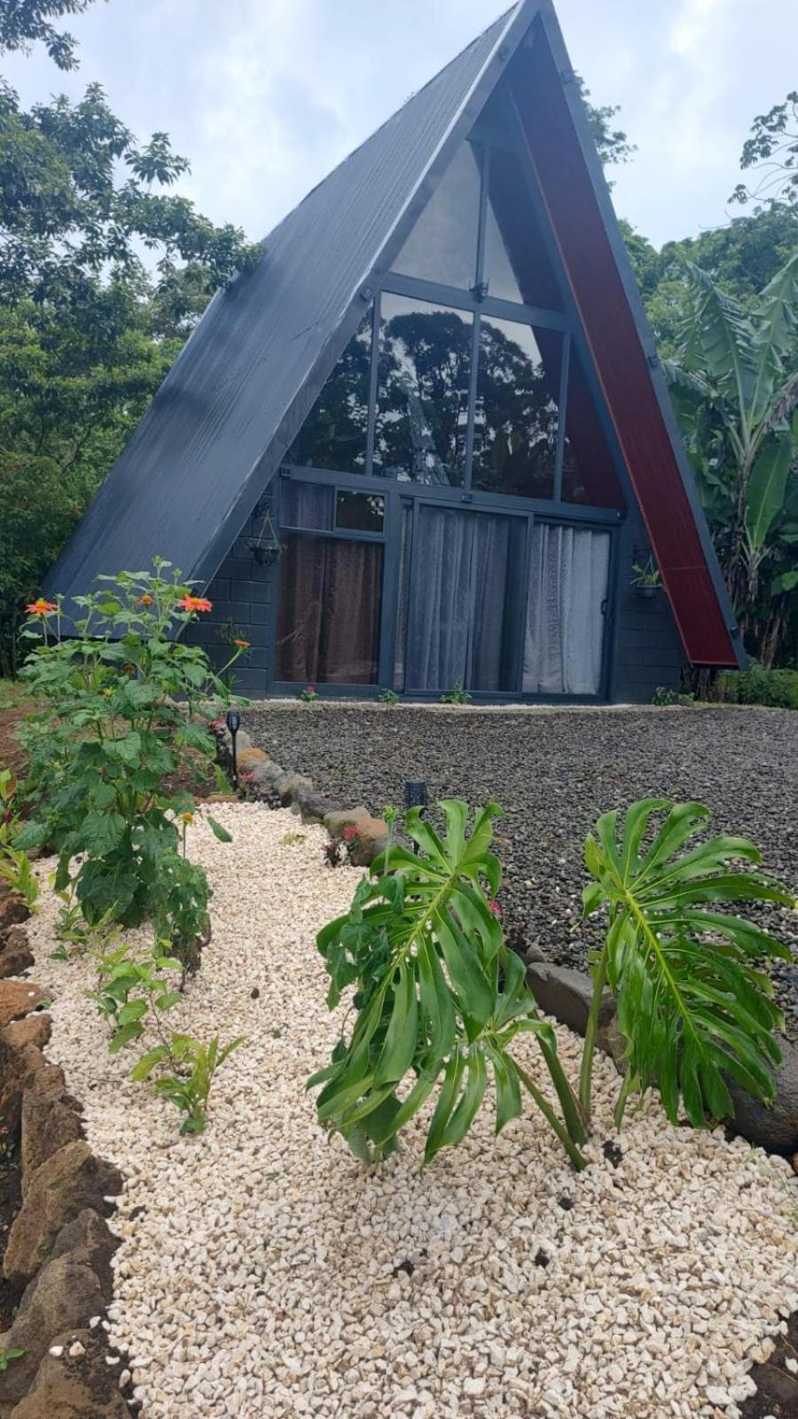 Yarumo Lodge, Rio Celeste Black Chalets Бійягуа Екстер'єр фото