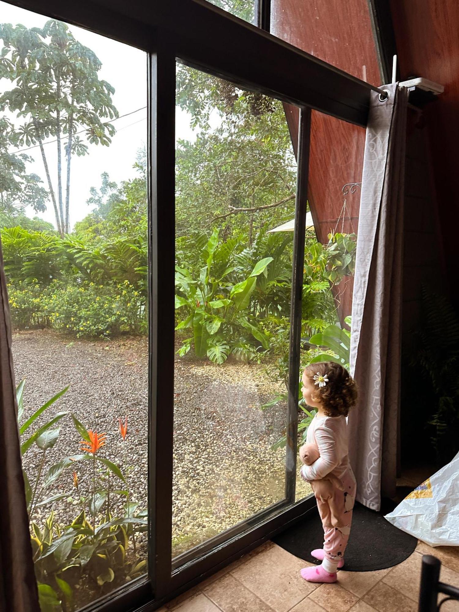 Yarumo Lodge, Rio Celeste Black Chalets Бійягуа Екстер'єр фото